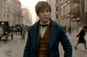Fantastic Beasts And Where To Find Them Review SpicyPulp