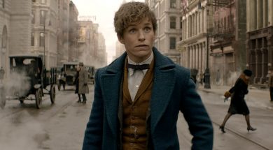 Fantastic Beasts And Where To Find Them Review SpicyPulp