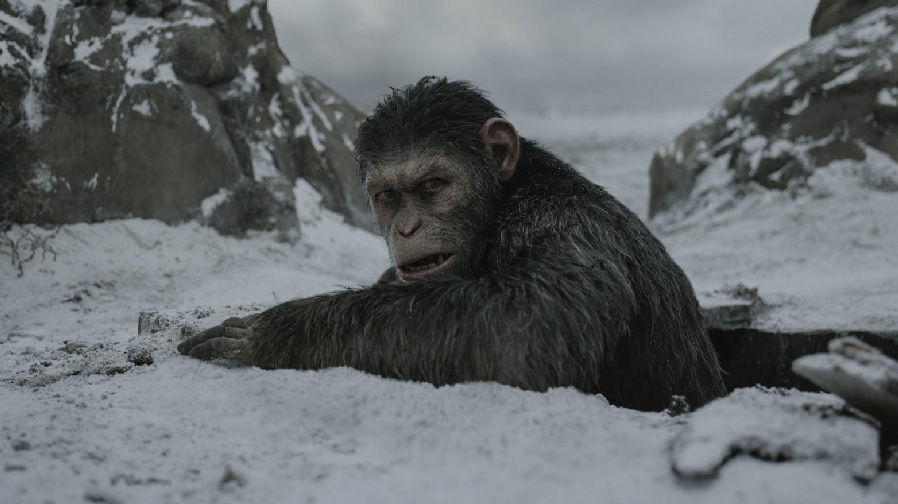 ‘War for the Planet of the Apes’ – Review