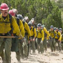 Only the Brave Review SpicyPulp
