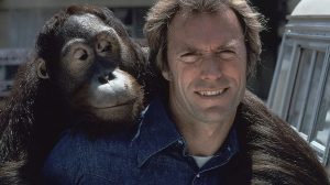 Eastwood Picks SpicyPulp