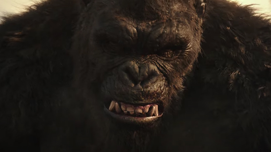 The titans battle in first trailer for ‘Godzilla vs Kong’