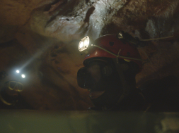 The Rescue Review SpicyPulp