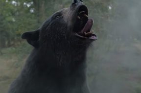 Cocaine Bear Trailer SpicyPulp