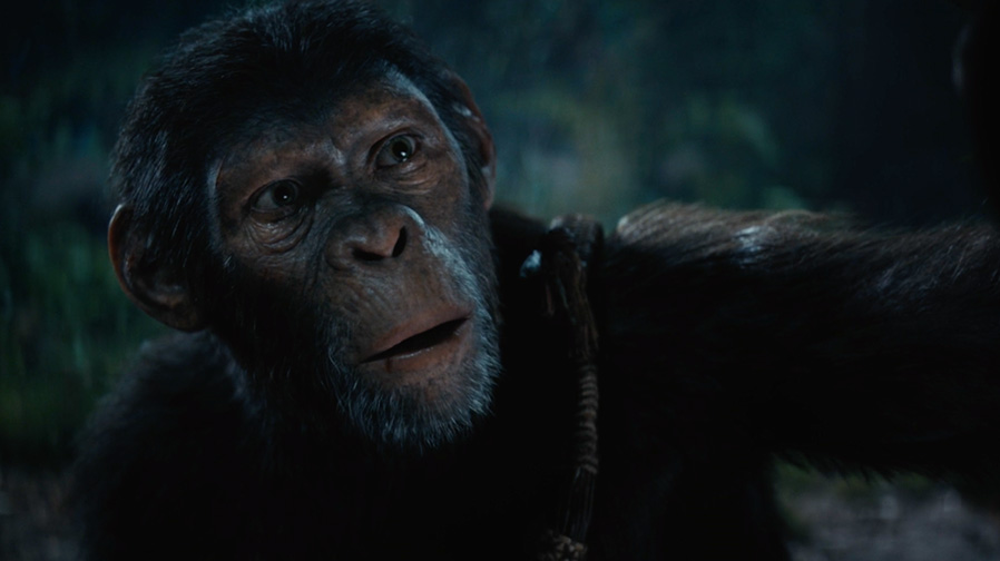 Strength is found in ‘Kingdom of the Planet of the Apes’