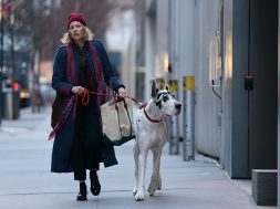 The Friend Review SpicyPulp
