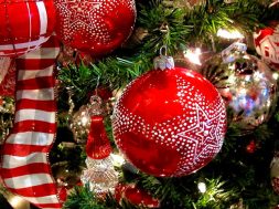 SpicyPulp Christmas Gift Guide 2025