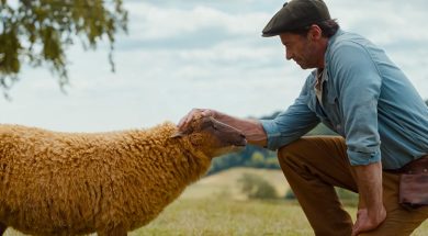 The Sheep Detectives Official Trailer SpicyPulp