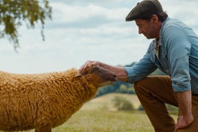 The Sheep Detectives Official Trailer SpicyPulp