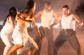 The Homeland Review Auckland Theatre Company SpicyPulp