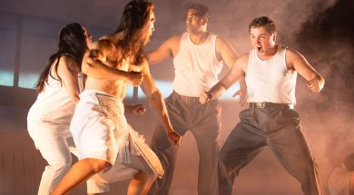 The Homeland Review Auckland Theatre Company SpicyPulp
