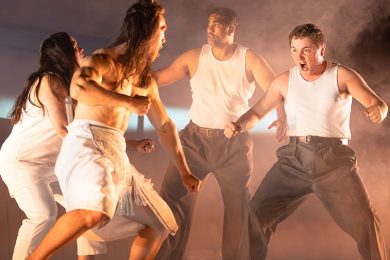 The Homeland Review Auckland Theatre Company SpicyPulp