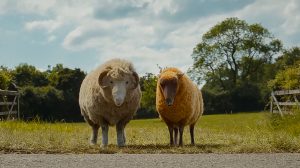 The Sheep Detectives Review SpicyPulp