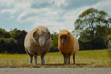 The Sheep Detectives Review SpicyPulp