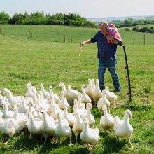 Clarksons Farm Season Five Review Prime Video SpicyPulp
