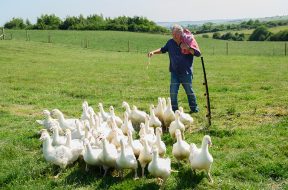 Clarksons Farm Season Five Review Prime Video SpicyPulp
