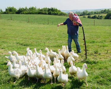 Clarksons Farm Season Five Review Prime Video SpicyPulp